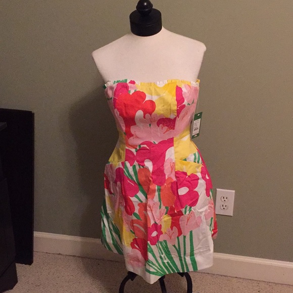 Lilly Pulitzer Dress - Picture 1 of 2
